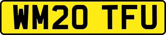 WM20TFU