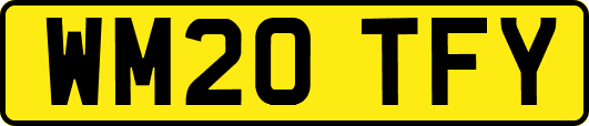 WM20TFY