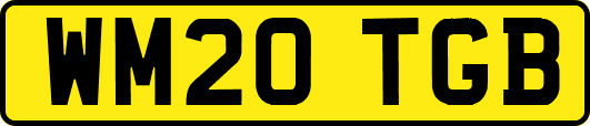 WM20TGB