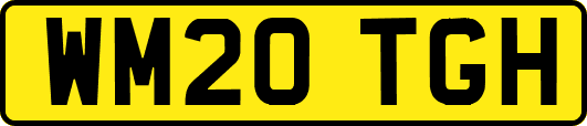 WM20TGH
