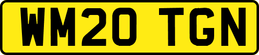 WM20TGN