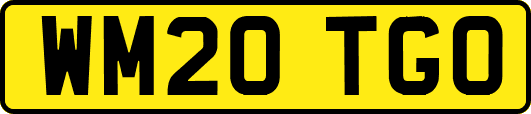 WM20TGO
