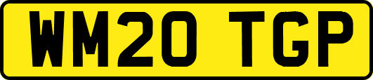 WM20TGP