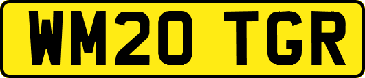 WM20TGR