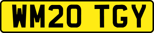 WM20TGY