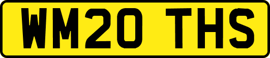 WM20THS