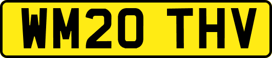 WM20THV