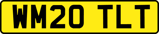 WM20TLT