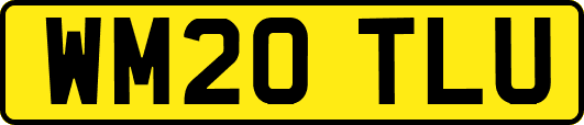 WM20TLU