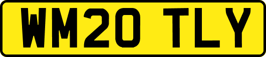 WM20TLY
