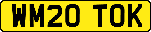 WM20TOK
