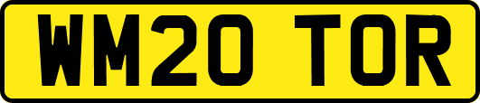 WM20TOR
