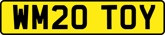WM20TOY