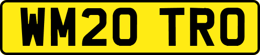 WM20TRO