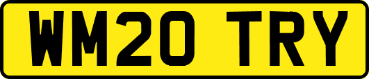 WM20TRY