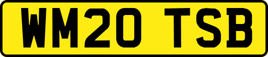WM20TSB