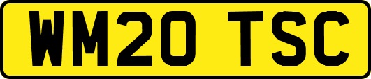 WM20TSC