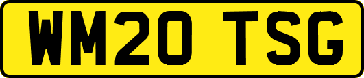 WM20TSG