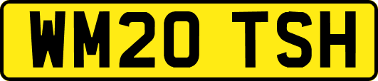WM20TSH