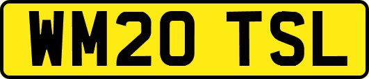 WM20TSL