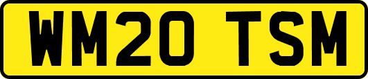 WM20TSM