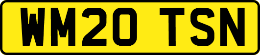 WM20TSN