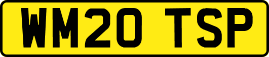WM20TSP