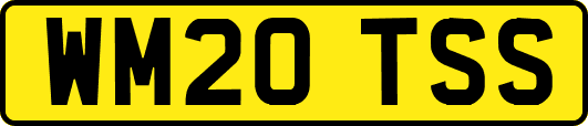 WM20TSS