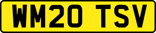 WM20TSV