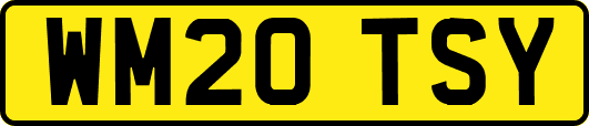 WM20TSY