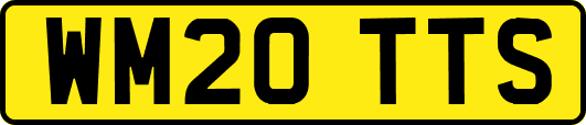 WM20TTS