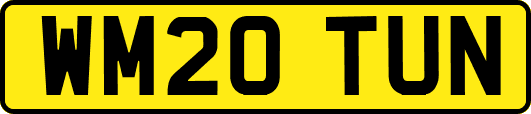 WM20TUN