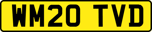 WM20TVD