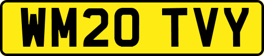 WM20TVY