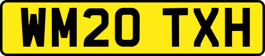 WM20TXH