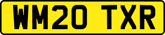WM20TXR