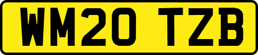WM20TZB