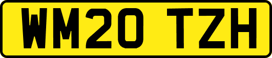 WM20TZH
