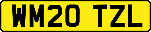 WM20TZL