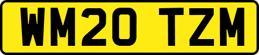 WM20TZM