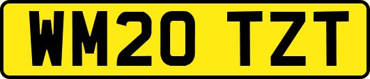 WM20TZT