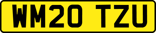 WM20TZU