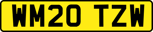 WM20TZW