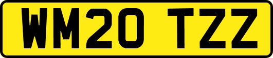 WM20TZZ