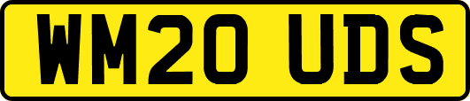 WM20UDS