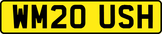 WM20USH