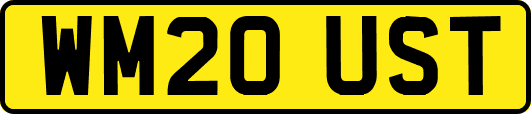 WM20UST