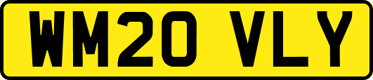 WM20VLY