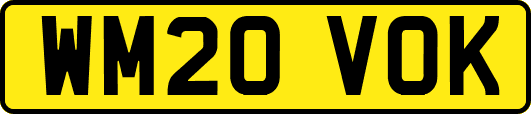 WM20VOK