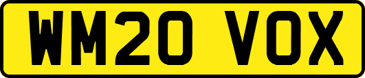 WM20VOX